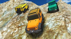 Mountain Cargo Transport