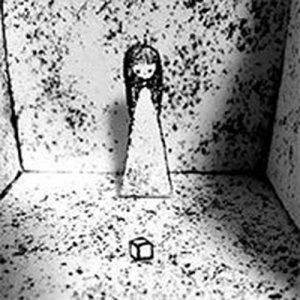 Hidden Cube Enigma