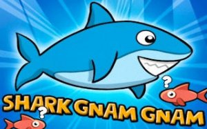 Ocean Blue Shark Adventure
