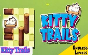 Cat Path Logic Puzzle