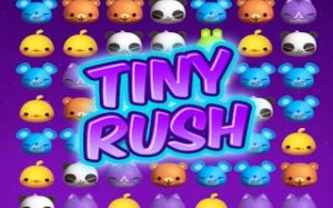 Animal Match Puzzle Fun