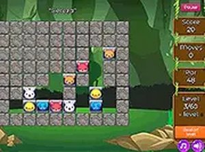 Color Link Logic Puzzle