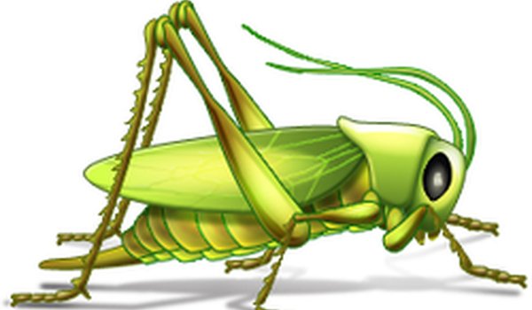 XD Grasshopper Simulator Online Game